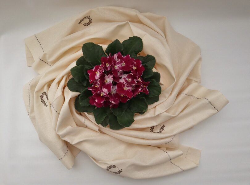 BEIGE COLORS tablecloths